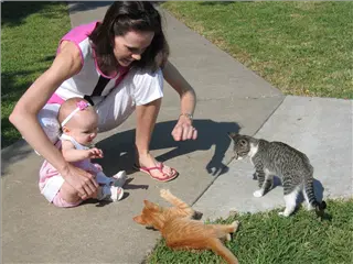 small_040807 reese reunionIMG_3213.webp